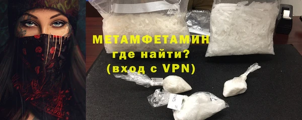 шишки Надым