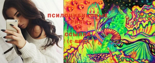эйфоретик Алексеевка