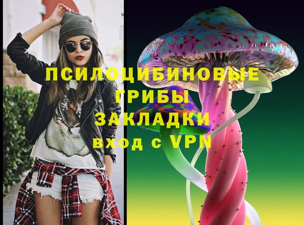 амф Алексин