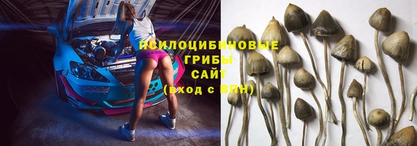 амф Алексин