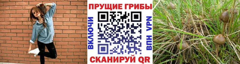 Галлюциногенные грибы мухоморы  omg ссылки  Сорочинск 